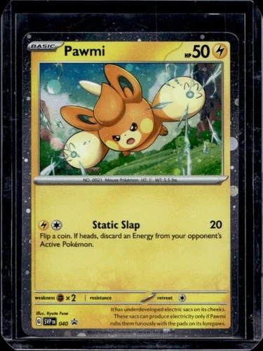 Pawmi