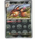 Dodrio