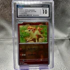 Ponyta
