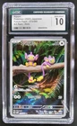 Aipom