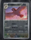Pidgey