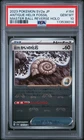 Old Helix Fossil