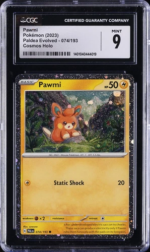 Pawmi