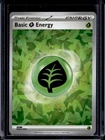 Grass Energy