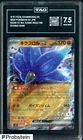 Glimmora ex