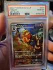 Pyroar