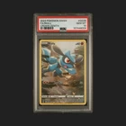 Riolu
