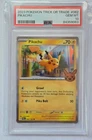 Pikachu Ex