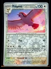 Pidgeot