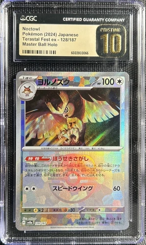 Noctowl