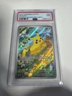 Chase for Pikachu