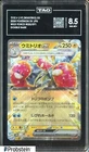 Wugtrio ex
