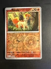 Ponyta