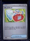 Bug Catching Set