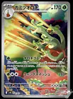 Pokemon Catcher