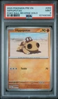 Hippopotas