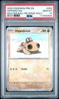 Hippowdon
