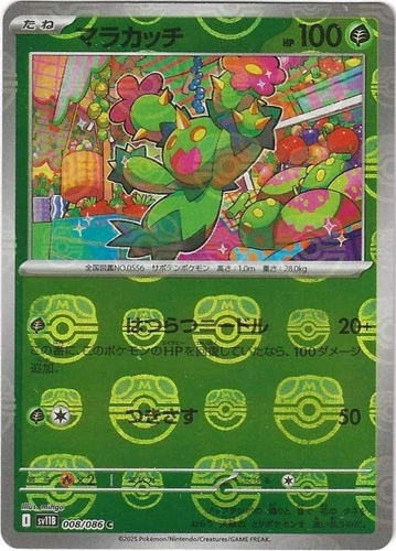Maractus