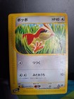 Pidgey
