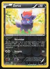 Zorua
