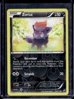 Zorua