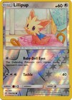 Lillipup