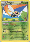 Ninjask