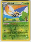 Ninjask