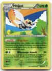 Ninjask