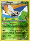 Ninjask