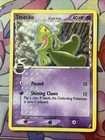 Treecko