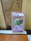 Treecko