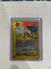 Furret