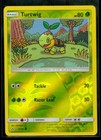 Turtwig