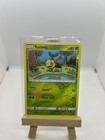 Turtwig