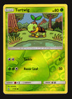Turtwig