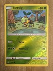 Turtwig