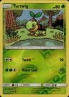 Turtwig