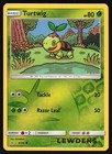 Turtwig