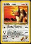 Blaine's Tauros