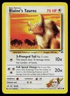 Blaine's Tauros