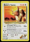 Blaine's Tauros