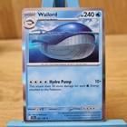 Wailord