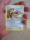Furret