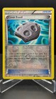 Cover Fossil