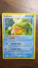 Ludicolo