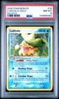 Ludicolo