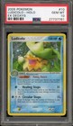 Ludicolo