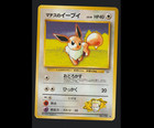 Lt. Surge's Eevee