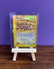 Rattata